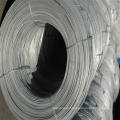 Galvanized Steel Wire for Metal Hose and Wire Mesh